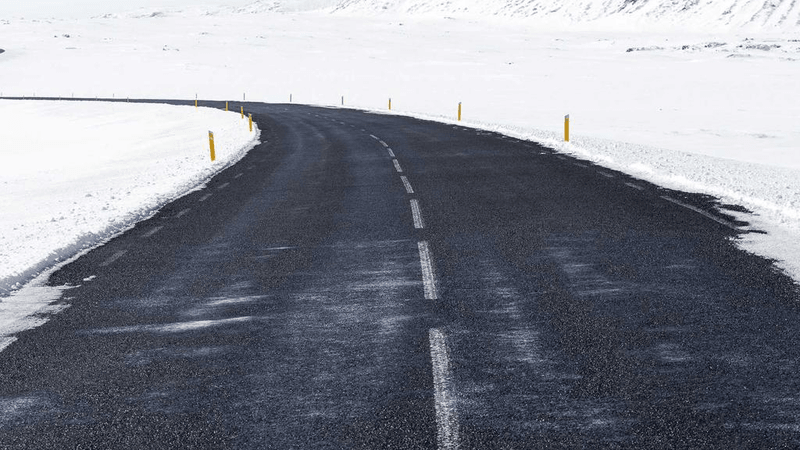 Bamboo - professional stock photography