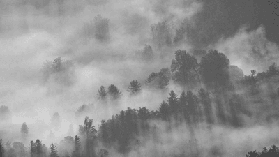Nature - professional stock photography